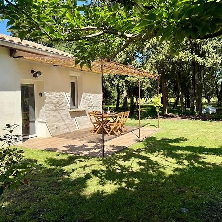 Maisonnette Avec Petite Foret Valréas Exterior foto