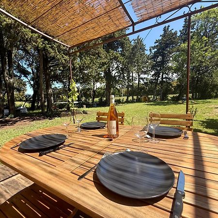 Maisonnette Avec Petite Foret Valréas Exterior foto